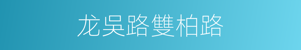 龙吳路雙柏路的同義詞