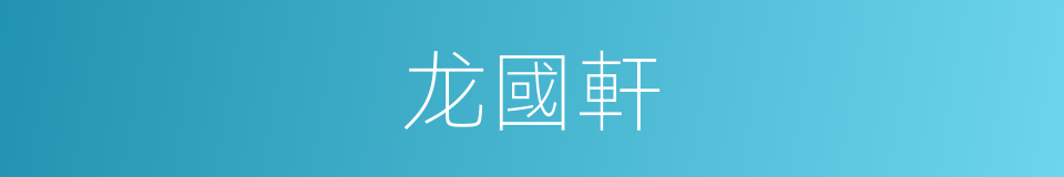 龙國軒的同義詞