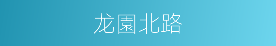 龙園北路的同義詞