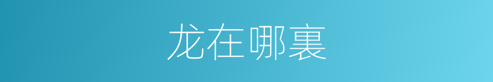 龙在哪裏的同義詞