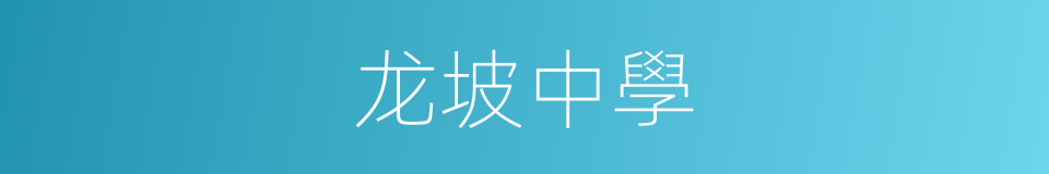 龙坡中學的同義詞