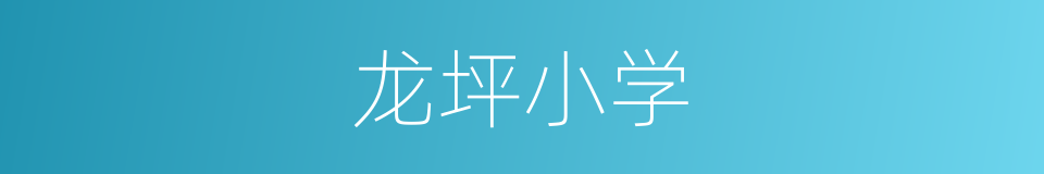 龙坪小学的同义词
