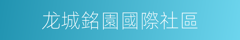 龙城銘園國際社區的同義詞