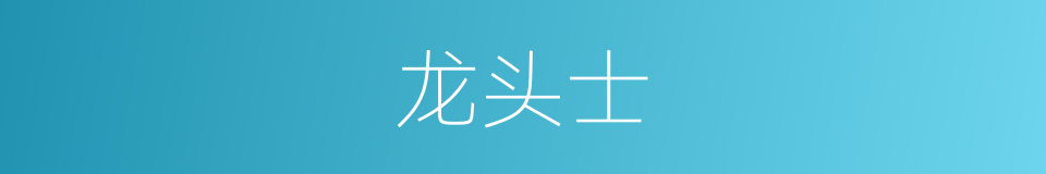 龙头士的意思