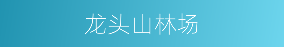 龙头山林场的同义词