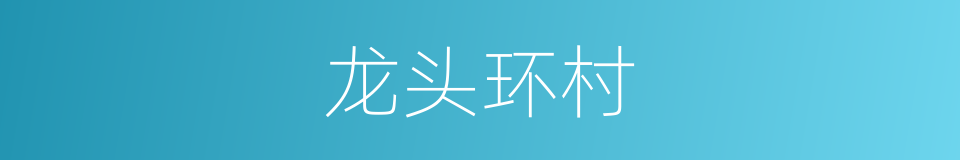 龙头环村的同义词