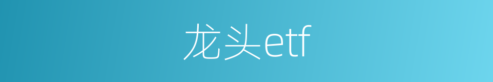 龙头etf的同义词