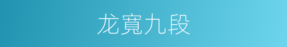 龙寬九段的同義詞