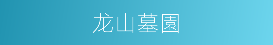 龙山墓園的同義詞