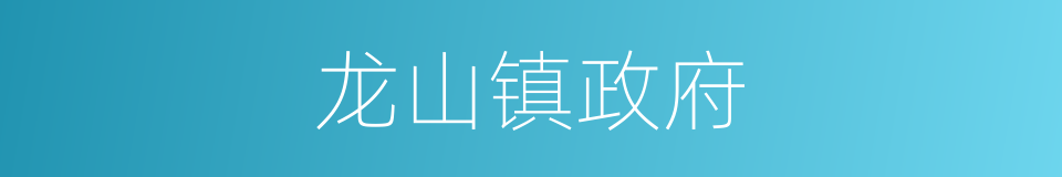龙山镇政府的同义词