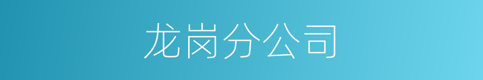 龙岗分公司的同义词