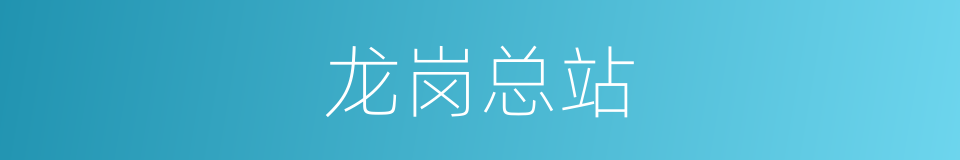 龙岗总站的同义词