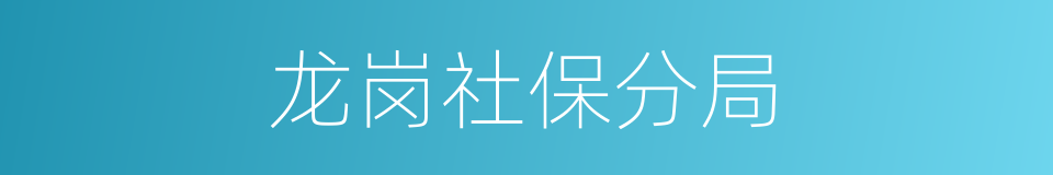 龙岗社保分局的同义词