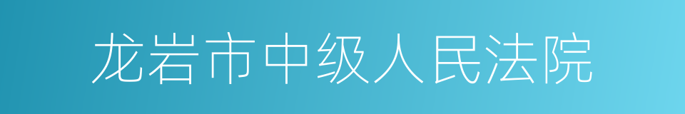 龙岩市中级人民法院的同义词