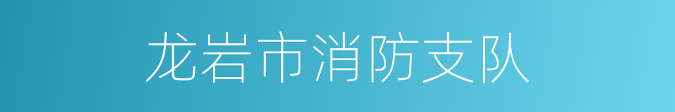 龙岩市消防支队的同义词