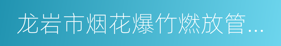 龙岩市烟花爆竹燃放管理条例的同义词