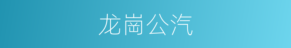 龙崗公汽的同義詞