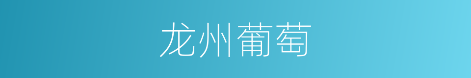 龙州葡萄的同义词