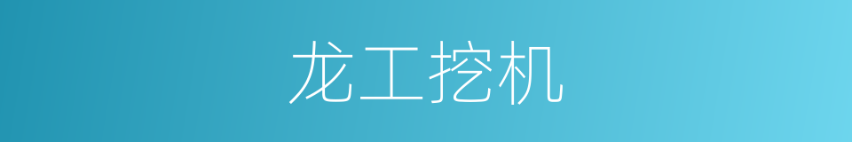 龙工挖机的同义词