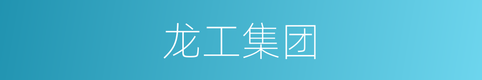 龙工集团的同义词