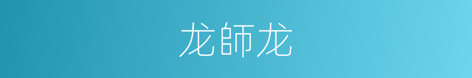 龙師龙的同義詞