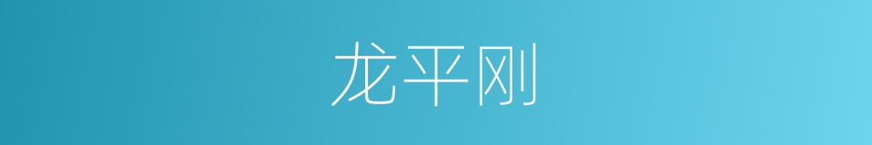 龙平刚的同义词
