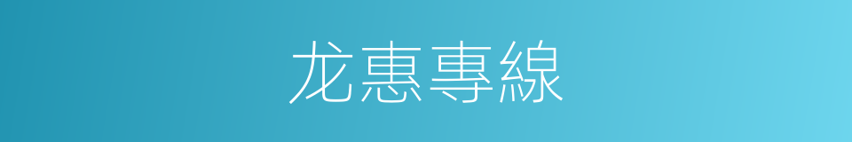 龙惠專線的同義詞