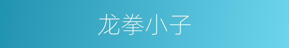 龙拳小子的同义词