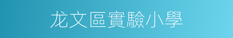 龙文區實驗小學的同義詞
