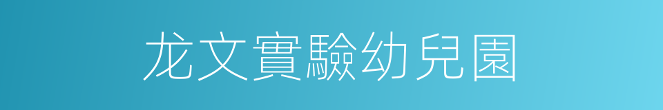 龙文實驗幼兒園的同義詞