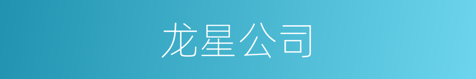 龙星公司的同义词