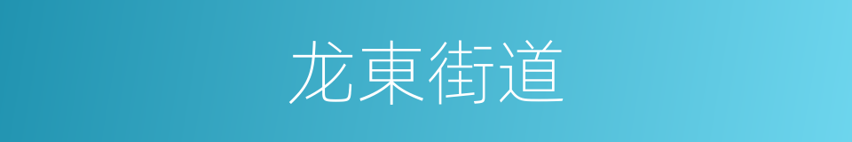 龙東街道的同義詞