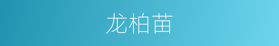 龙柏苗的同义词