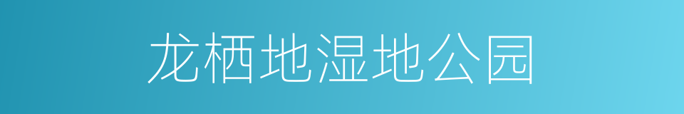 龙栖地湿地公园的同义词