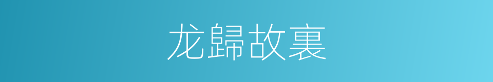 龙歸故裏的同義詞