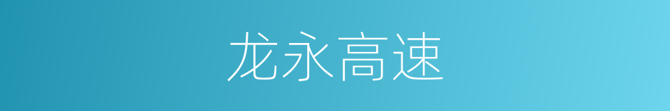 龙永高速的同义词