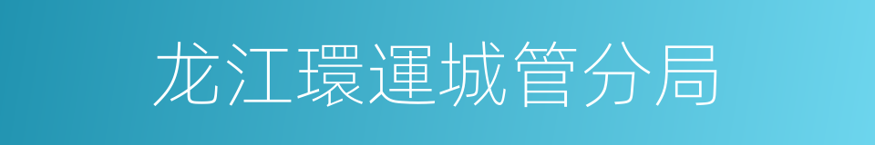 龙江環運城管分局的同義詞