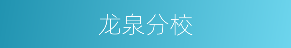 龙泉分校的同义词