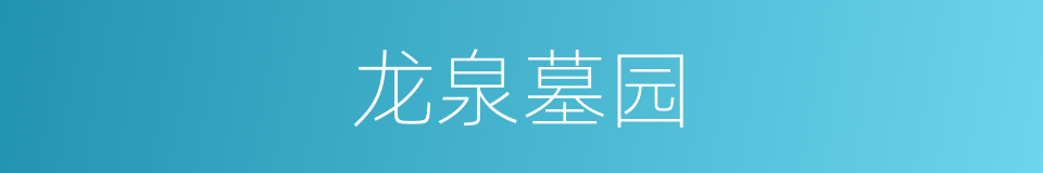 龙泉墓园的同义词