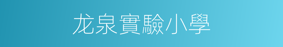 龙泉實驗小學的同義詞