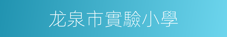 龙泉市實驗小學的同義詞