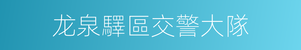 龙泉驛區交警大隊的同義詞
