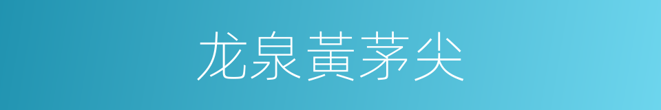 龙泉黃茅尖的同義詞