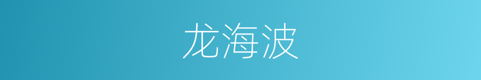 龙海波的同义词