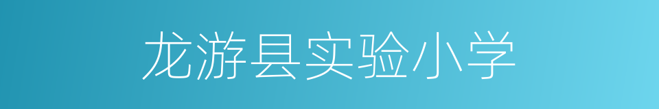 龙游县实验小学的同义词