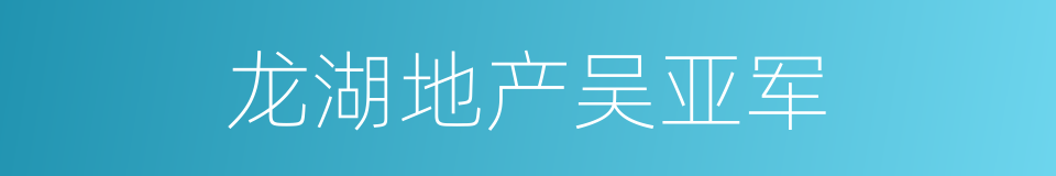 龙湖地产吴亚军的同义词