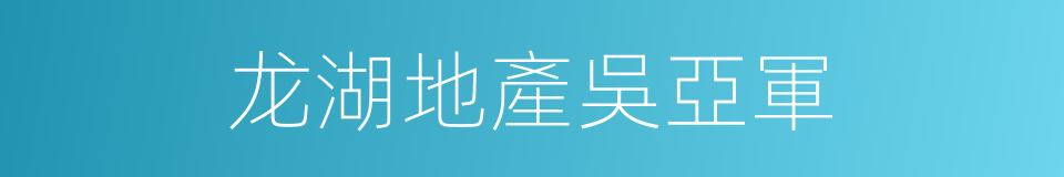 龙湖地產吳亞軍的同義詞