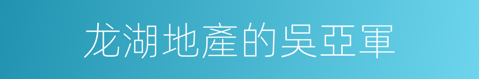 龙湖地產的吳亞軍的同義詞
