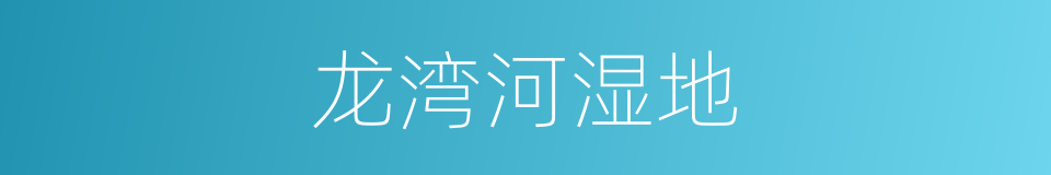 龙湾河湿地的同义词