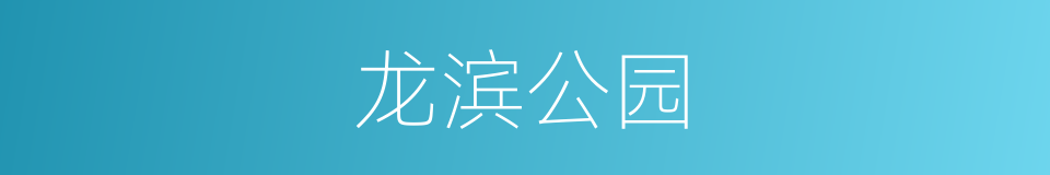 龙滨公园的同义词